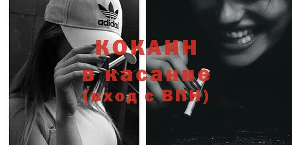 ECSTASY Богданович