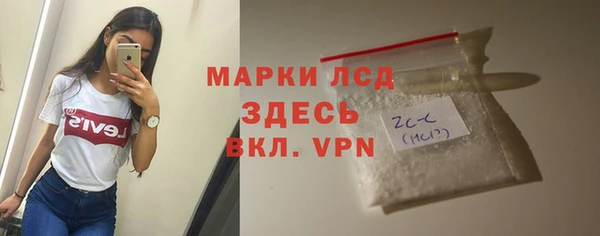 ECSTASY Богданович