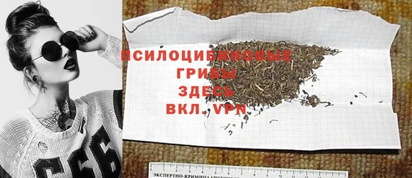ECSTASY Богданович
