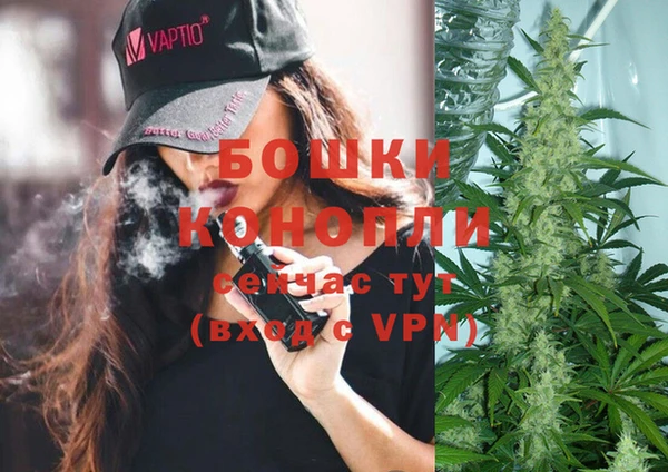 ECSTASY Богданович