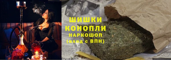 ECSTASY Богданович